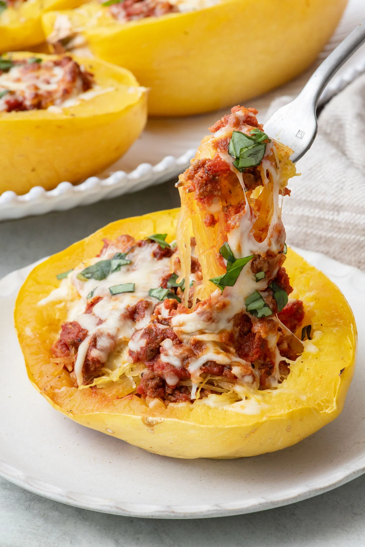 Spaghetti Squash Lasagna